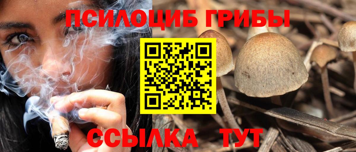 Псилоцибиновые грибы Psilocybine cubensis Ялта